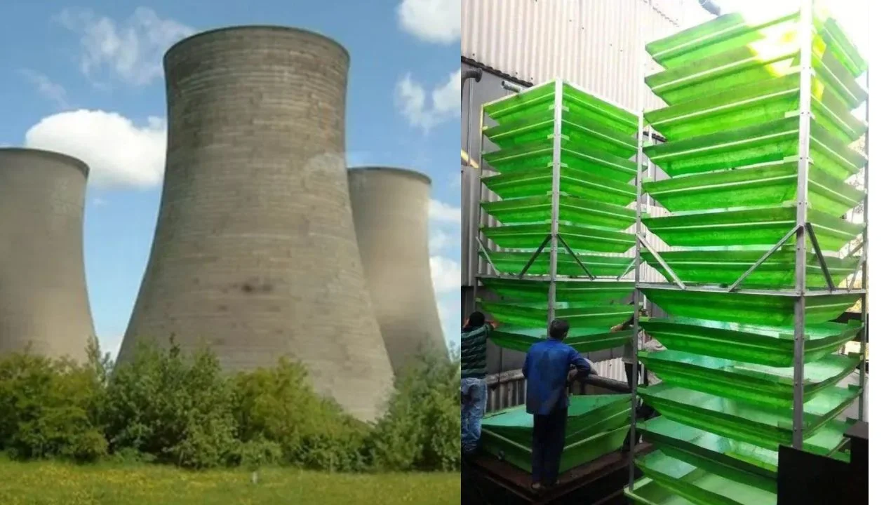 Natural Draft Cooling Tower, types of cooling tower,